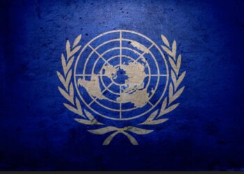 The United Nations at the Crossroads: Irrelevance or Renewal?